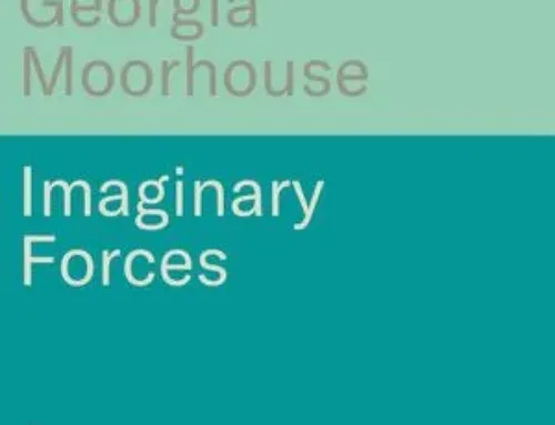 Informe de lectura Imaginary Forces