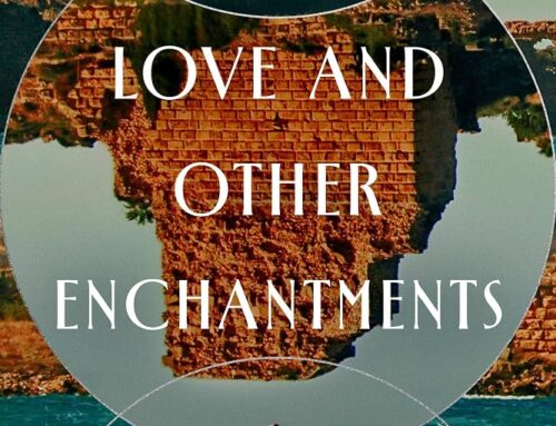 Libro Love and Other Enchantments